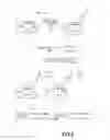 Fig. 03 - POLYCATIONIC AMPHIPHILIC CYCLOOLIGOSACCHARIDES AND THE USE THEREOF AS MOLECULAR TRANSPORTERS