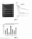 Fig. 04 - POLYCATIONIC AMPHIPHILIC CYCLOOLIGOSACCHARIDES AND THE USE THEREOF AS MOLECULAR TRANSPORTERS