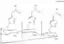 Fig. 06 - POLYCATIONIC AMPHIPHILIC CYCLOOLIGOSACCHARIDES AND THE USE THEREOF AS MOLECULAR TRANSPORTERS