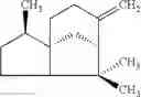 Fig. 07 - Uses of sesquiterpene derivatives