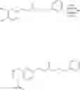 Fig. 04 - Caffeic acid derivatives and their use in improving neuronal cell viability