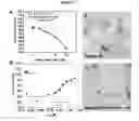 Fig. 03 - Inhibitors of cognitive decline