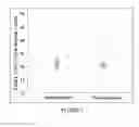 Fig. 02 - ANALYZING THE FMR1 GENE