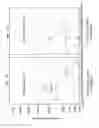 Fig. 03 - ANALYZING THE FMR1 GENE