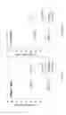 Fig. 23 - ANALYZING THE FMR1 GENE