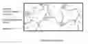 Fig. 01 - Crosslinked flame retardant thermoplastic elastomer gels