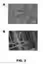 Fig. 04 - Polymer composites and fabrications thereof