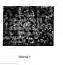 Fig. 04 - AQUEOUS COATING COMPOSITIONS