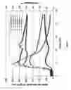 Fig. 02 - Polycarboxylic acid gelling agents