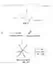 Fig. 04 - BIOMOLECULE-POLYMER CONJUGATES AND METHODS OF MAKING SAME