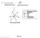 Fig. 06 - BIOMOLECULE-POLYMER CONJUGATES AND METHODS OF MAKING SAME