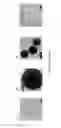 Fig. 03 - Solid phase gold nanoparticle synthesis