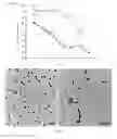 Fig. 06 - Solid phase gold nanoparticle synthesis