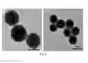 Fig. 08 - Solid phase gold nanoparticle synthesis