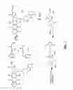 Fig. 03 - Anthracycline derivative conjugates, process for their preparation and their use as antitumor compounds