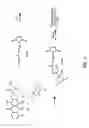 Fig. 07 - Anthracycline derivative conjugates, process for their preparation and their use as antitumor compounds