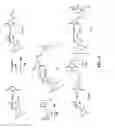 Fig. 10 - Anthracycline derivative conjugates, process for their preparation and their use as antitumor compounds
