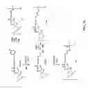 Fig. 12 - Anthracycline derivative conjugates, process for their preparation and their use as antitumor compounds