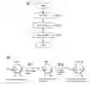 Fig. 01 - METHOD FOR THE HYDROPHILIC PROCESSING OF CELLULOSE FIBRE AND PRODUCTION METHOD FOR HYDROPHILIC CELLULOSE FIBRE