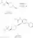 Fig. 43 - Compounds having NPY Y5 receptor antagonistic activity