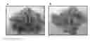 Fig. 01 - Methods of microbial oil extraction and separation