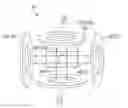Fig. 01 - Applying torque to paramagnetic structures in bodies using dual magnetic fields