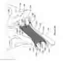Fig. 49 - Systems, devices, and methods for treating pelvic floor disorders