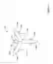 Fig. 09 - Biliary catheter systems including stabilizing members