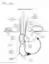 Fig. 147 - METHODS AND DEVICES TO DECREASE TISSUE TRAUMA DURING SURGERY