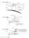 Fig. 162 - METHODS AND DEVICES TO DECREASE TISSUE TRAUMA DURING SURGERY