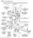 Fig. 85 - METHODS AND DEVICES TO DECREASE TISSUE TRAUMA DURING SURGERY