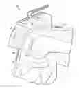 Fig. 01 - Reduced pressure, compression systems and apparatuses for use on joints
