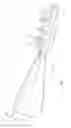 Fig. 05 - Surgical saw blade