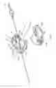 Fig. 09 - VIBRATING NEEDLE ADJUSTMENT DEVICE
