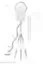 Fig. 05 - Vestibular stimulation device