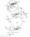 Fig. 01 - Intraocular lens