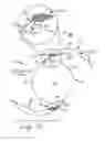 Fig. 01 - Intraocular lens