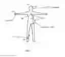 Fig. 02 - METHOD AND APPARATUS FOR MEASURING BODY IMPEDANCE BASED ON BASEBAND SIGNAL DETECTION