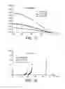Fig. 09 - Method for characterizing an electric battery