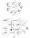 Fig. 02 - Method and system for generating personal/individual health records
