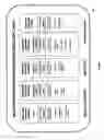 Fig. 02 - Multi-Purse Prepaid Consumer Discount Card Systems and Methods