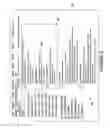 Fig. 04 - Selecting advertisements for users via a targeting database