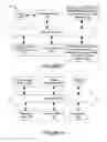 Fig. 08 - Selecting advertisements for users via a targeting database