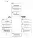 Fig. 01 - TRANSACTION SERVICES REVERSE AUCTION