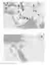 Fig. 09 - REAL-TIME ANALYTICS OF STREAMING DATA