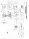 Fig. 04 - Mobile communications message verification of financial transactions