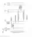 Fig. 09 - Biometric identification method