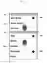 Fig. 08 - Information display method and apparatus of mobile terminal