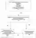 Fig. 01 - Third party VPN certification