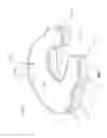 Fig. 02 - Nursing and infant support pillow with accessory unit